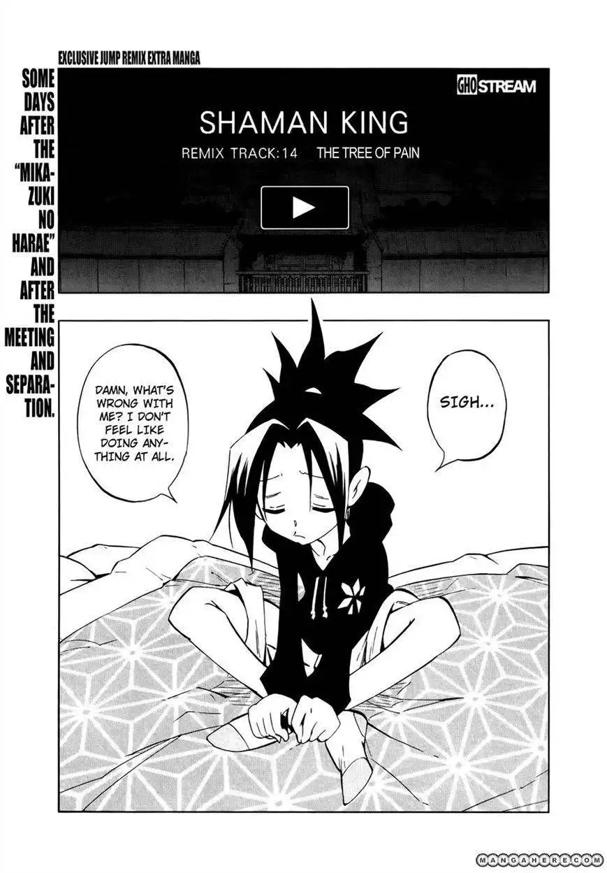 Shaman King: Remix Track Chapter 14 2